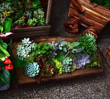 De tuin opknappen doe je zo 4 slimme tips