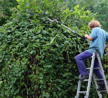 Bespaartips voor het opknappen van je tuin