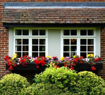 Budgetproof tuinieren- zo bespaar je extra geld in de tuin!
