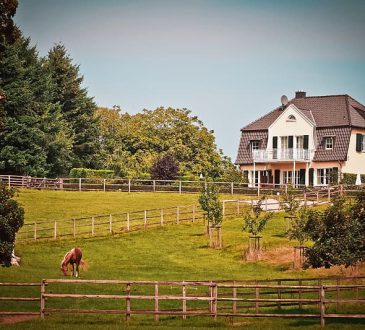Een paard aan huis