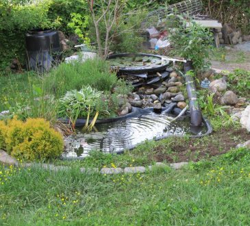 Hoe bouw je een waterval in je tuin