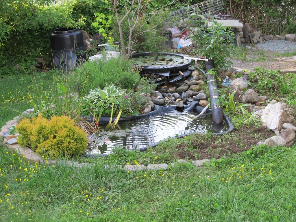 Knipperen Blijkbaar registreren Hoe bouw je een waterval in je tuin? - Huishint