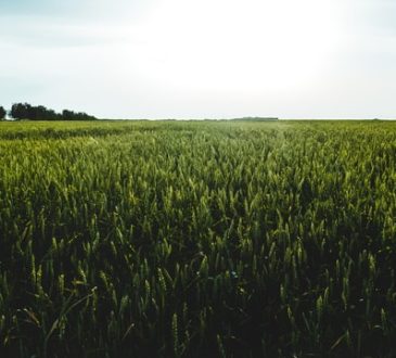Onderdelen voor een tractor