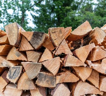 Je haardhout juist opslaan